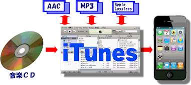 Cd を Iphone に 取り込む Itunes Cdの音楽をiphoneに入れる方法おすすめ Amp Petmd Com