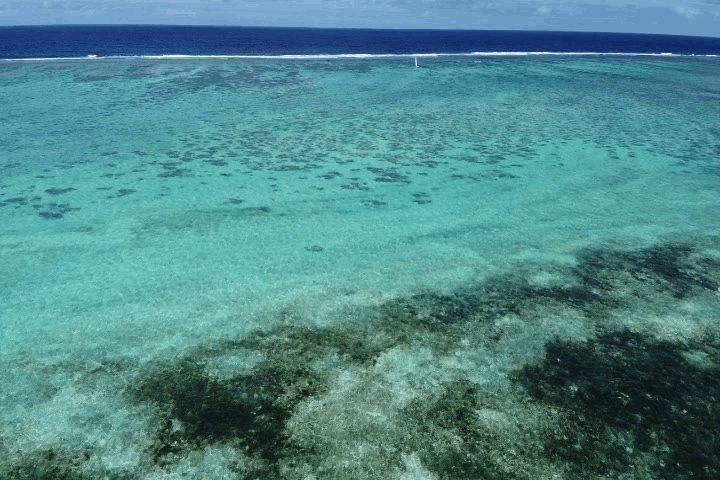 サイパン アクアリゾートクラブ アチュガオビーチ沖のサンゴ礁と、ニモ・スノーケリング・ツアーのホビーキャット(小型ヨット) (ドローンによる空撮)